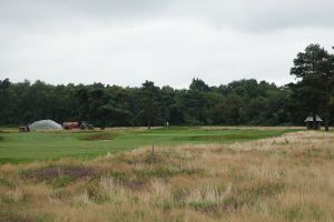 Walton Heath (Old) 6th Fescue